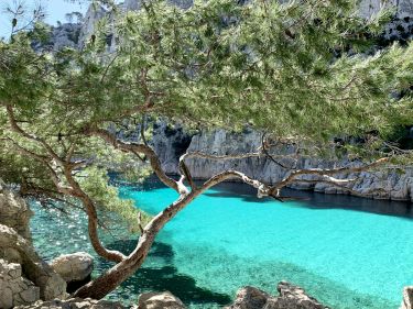 Les Calanques et ses eaux turquoises. Avouez que &ccedil;a donne envie de se baigner !